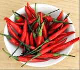 Chillies