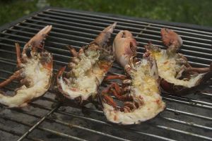 grilling lobster