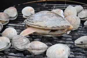 grilling clams