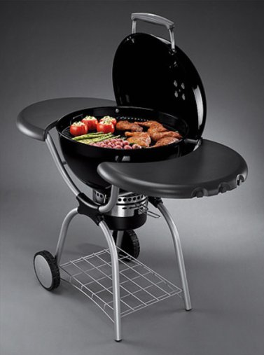 Weber One Touch