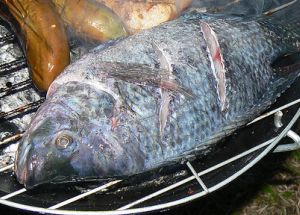 bbq tilapia