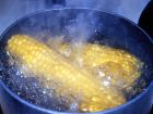 boiling corn