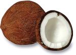 coconut