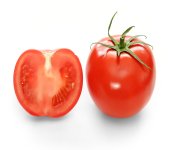 Tomato